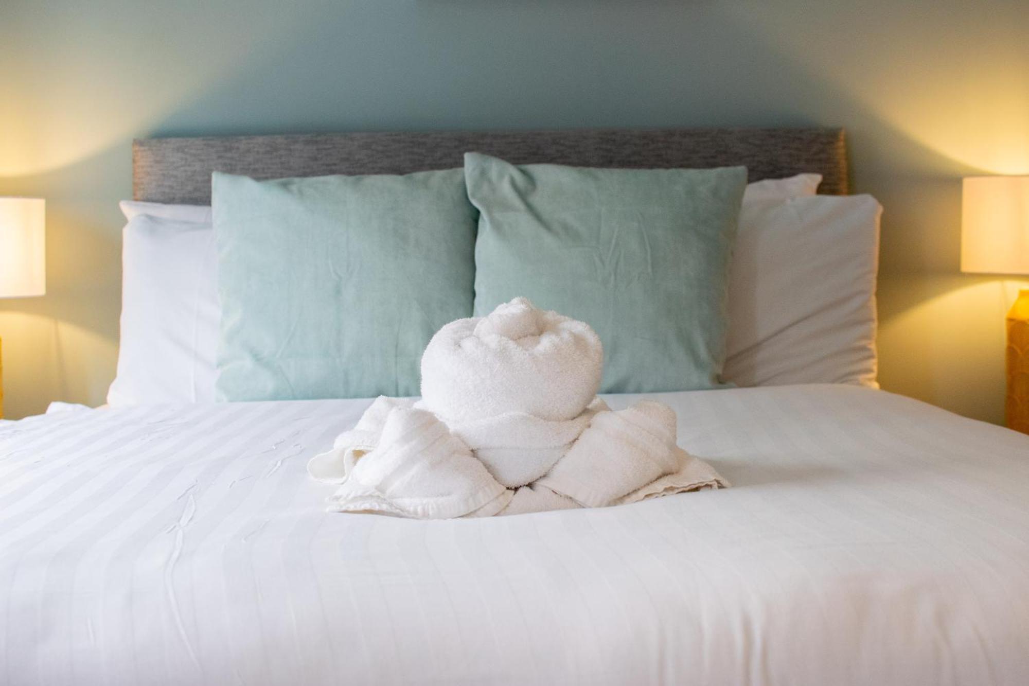 فيلا The Large Group House -Sleeps 21 دبلن المظهر الخارجي الصورة